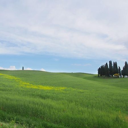 Agriturismo Santa Maria Torrita di Siena Eksteriør bilde