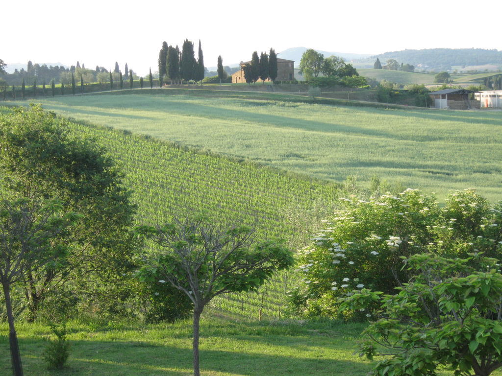 Agriturismo Santa Maria Torrita di Siena Eksteriør bilde