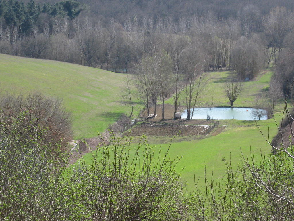 Agriturismo Santa Maria Torrita di Siena Eksteriør bilde