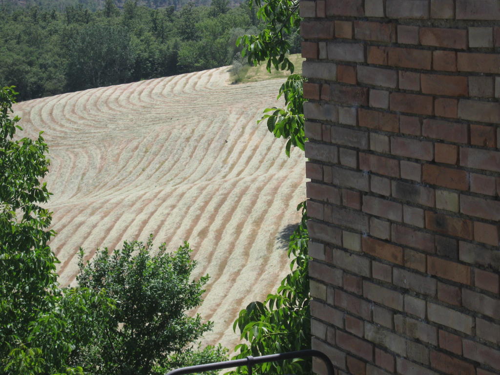 Agriturismo Santa Maria Torrita di Siena Eksteriør bilde