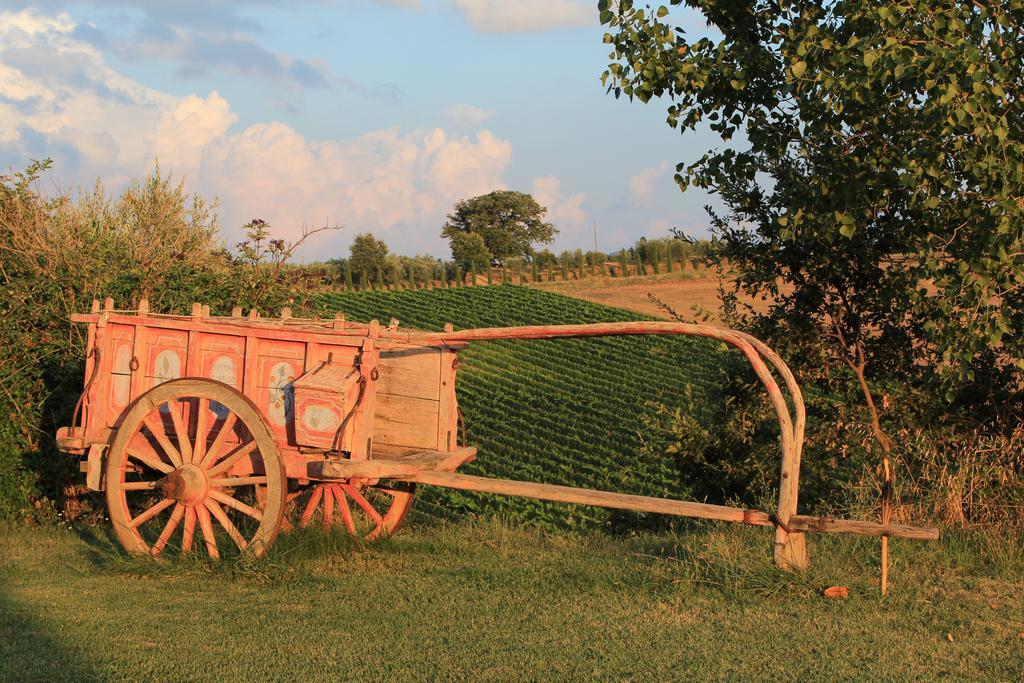 Agriturismo Santa Maria Torrita di Siena Eksteriør bilde