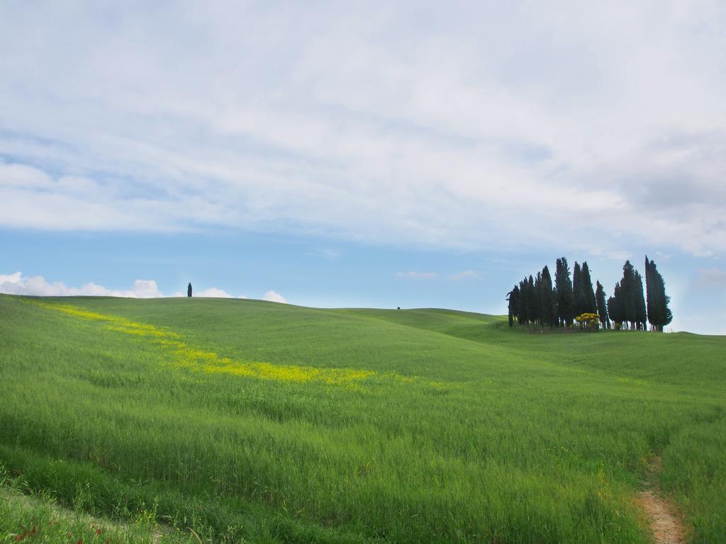Agriturismo Santa Maria Torrita di Siena Eksteriør bilde