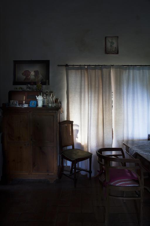 Agriturismo Santa Maria Torrita di Siena Eksteriør bilde