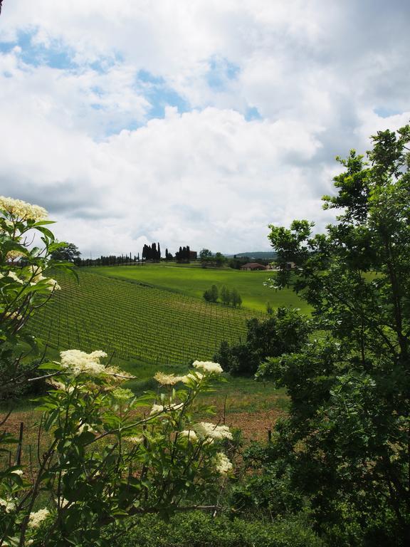 Agriturismo Santa Maria Torrita di Siena Eksteriør bilde