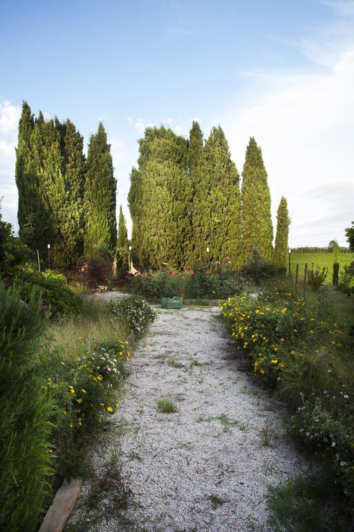 Agriturismo Santa Maria Torrita di Siena Eksteriør bilde